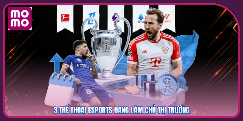 Esports Là Gì? Giải Nghĩa Đấu Trường LoL Valorant Và CS2 3 3 thể thoại esports đang làm chủ thị trường