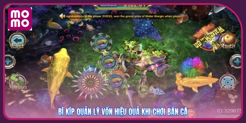 Bắn Cá Tiểu Tiên MMOO | Săn Hũ Đỉnh Cao - Nhận Code 150K 4 Bí kíp quản lý vốn hiệu quả khi chơi bắn cá