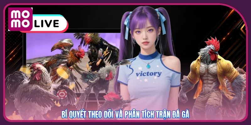Đá Gà Thomo MMOO | Đỉnh Cao Kê Trường - Ưu Đãi Nạp 300K 4 Bí quyết theo dõi và phân tích trận đá gà