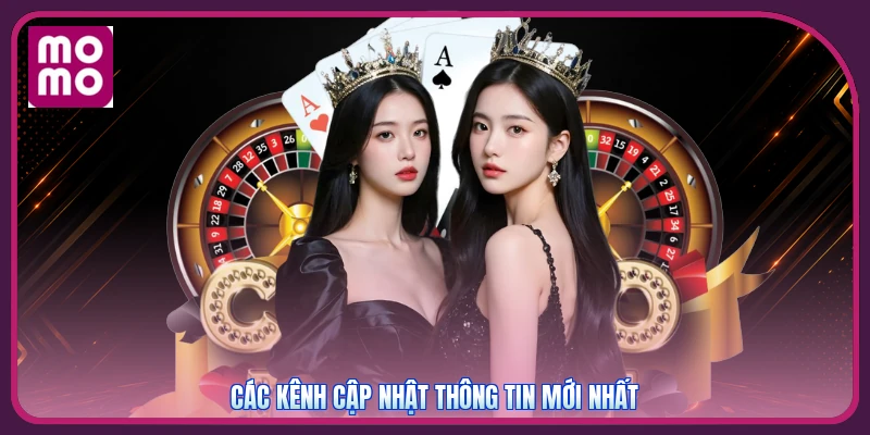 Các kênh cập nhật thông tin mới nhất