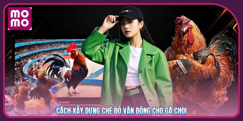 Cách xây dựng chế độ vận động cho gà chọi
