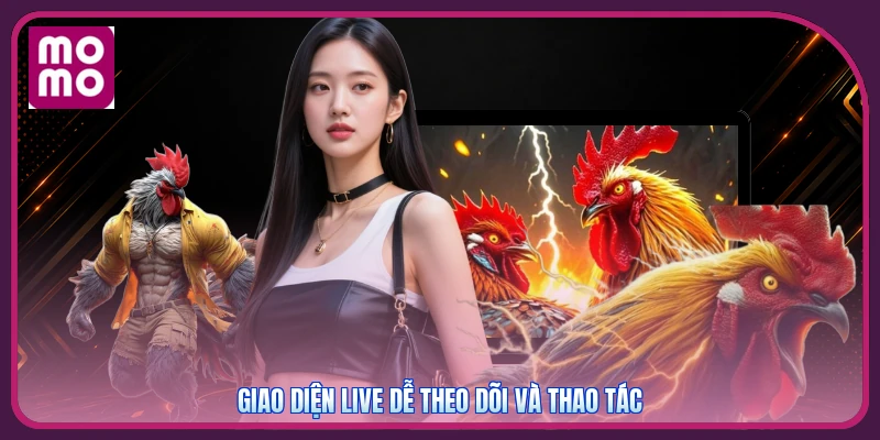 Giao diện live dễ theo dõi và thao tác