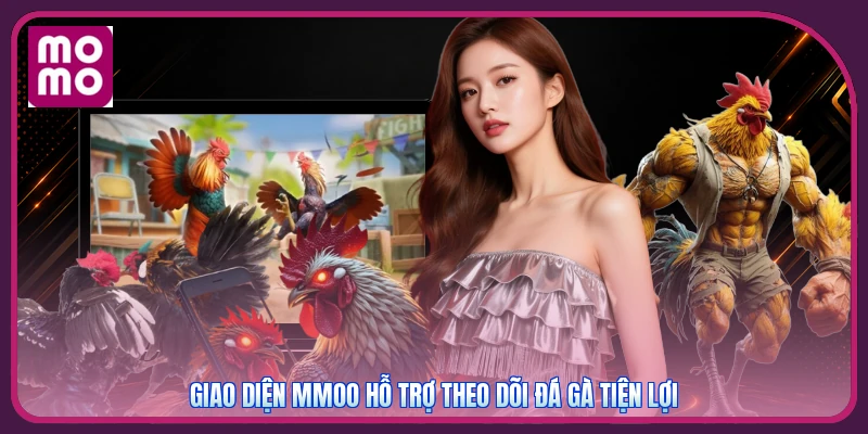 Đá Gà Thomo MMOO | Đỉnh Cao Kê Trường - Ưu Đãi Nạp 300K 3 Giao diện mmoo hỗ trợ theo dõi đá gà tiện lợi