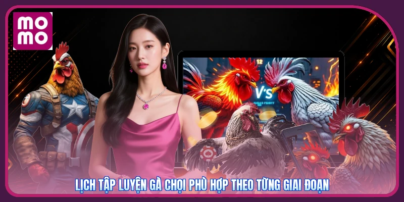 Lịch tập luyện gà chọi phù hợp theo từng giai đoạn