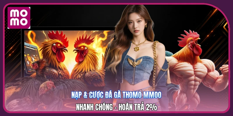 Nạp & Cược Đá Gà Thomo MMOO | Nhanh Chóng - Hoàn Trả 2%