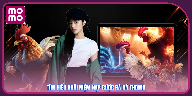 Nạp & Cược Đá Gà Thomo MMOO | Nhanh Chóng - Hoàn Trả 2% 2 Tìm hiểu khái niệm nạp cược đá gà Thomo