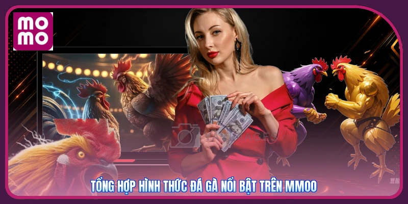 Tổng hợp hình thức đá gà nổi bật trên MMOO