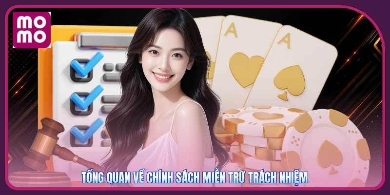 Tổng quan về chính sách miễn trừ trách nhiệm